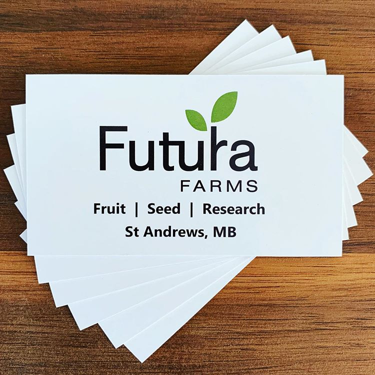 Futura Business Cards